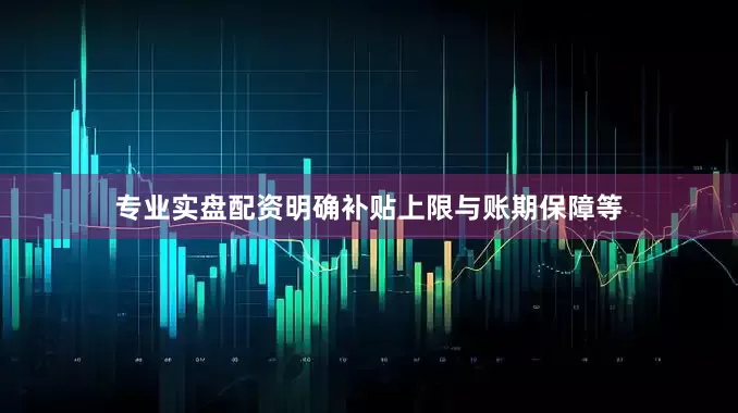 专业实盘配资明确补贴上限与账期保障等