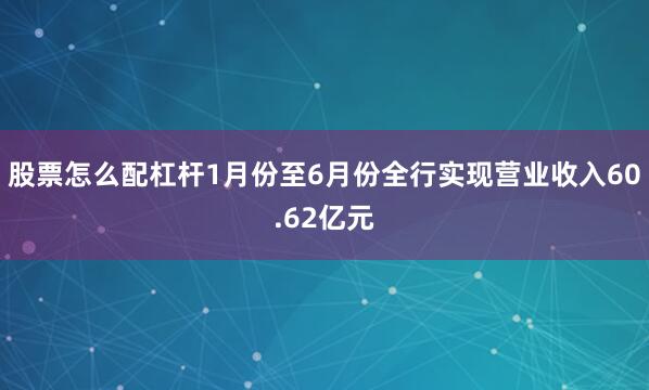 股票怎么配杠杆1月份至6月份全行实现营业收入60.62亿元